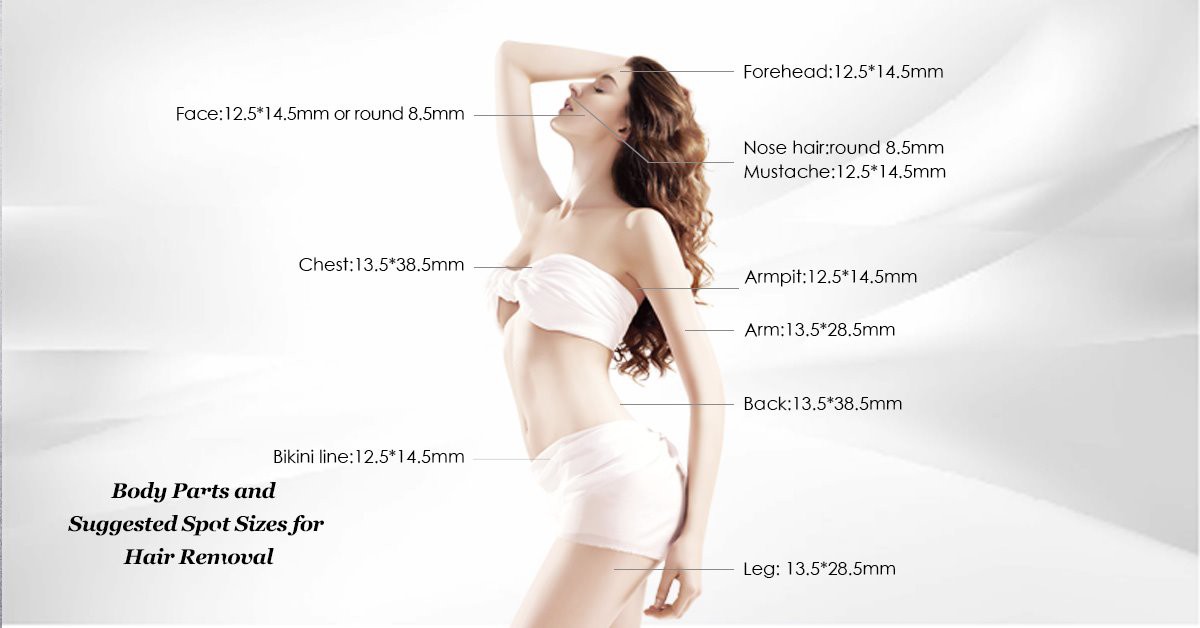 3000W Exchangeable Spot Size 808nm Diode Laser Hair Removal